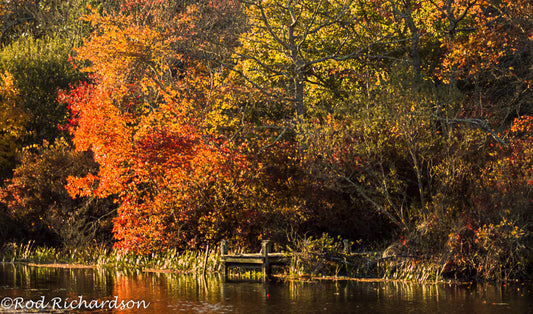 Small dock in the Fall Riverhead NY