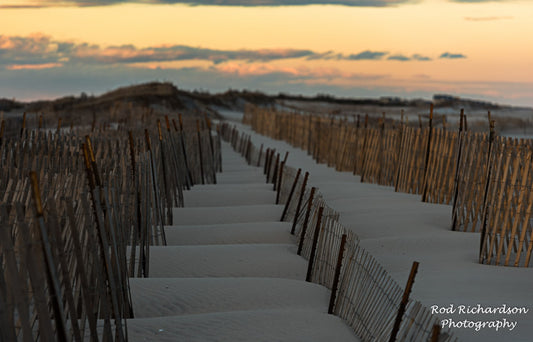 Waves of Sand in the Dunes