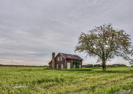 Rod Richardson Photography Gift Card