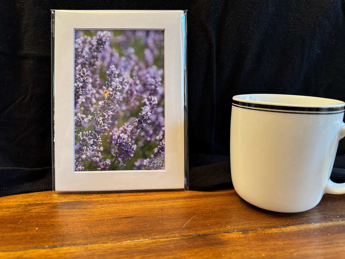 Up Close With A Honeybee Fine Art Mini Print