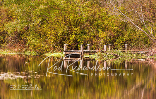 Autumn Serenity in Calverton Riverhead NY