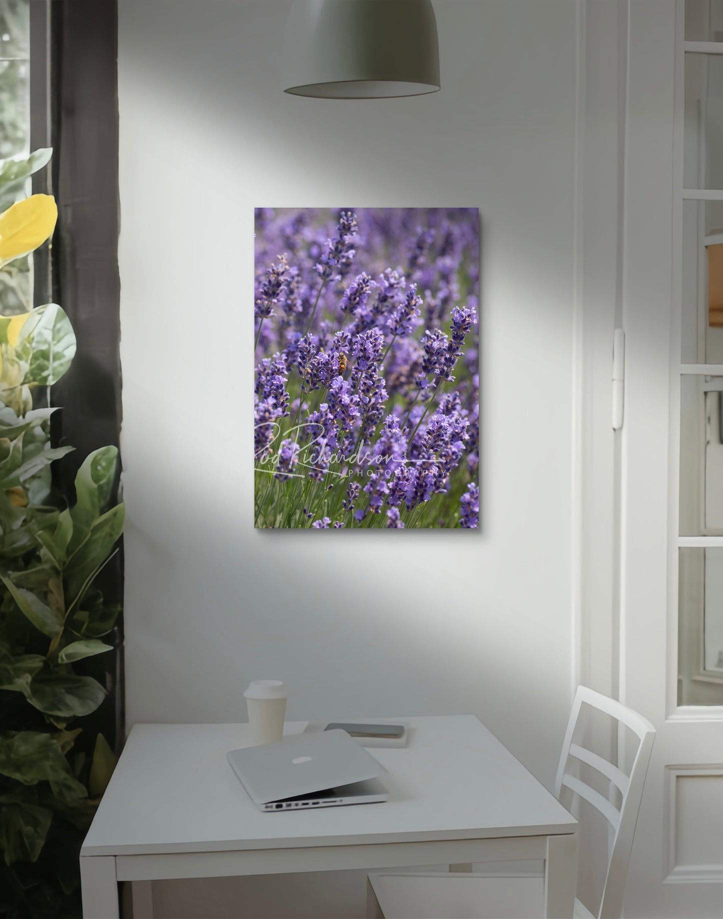 Lavender Dawn Fine Art Print