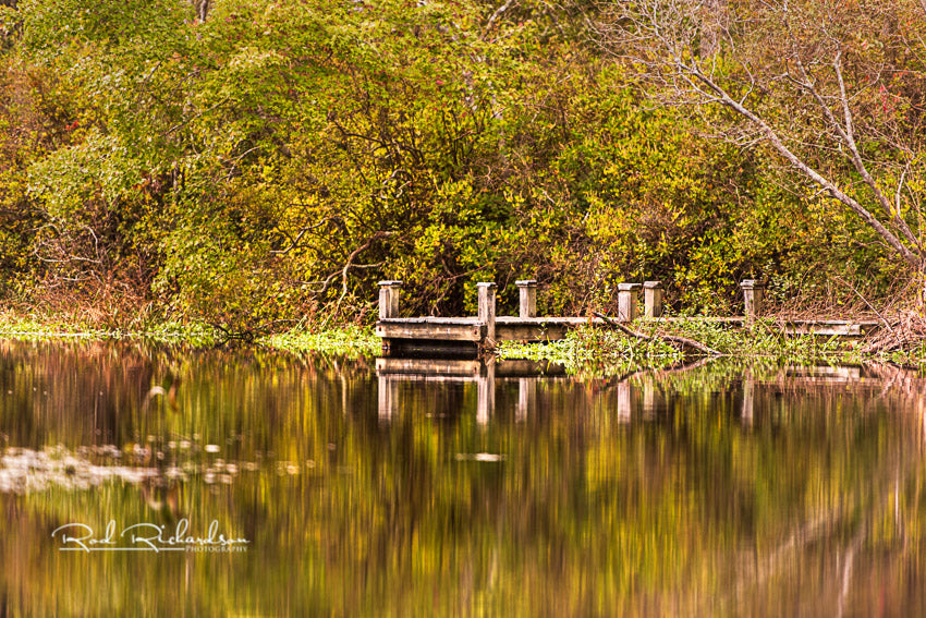 Autumn Serenity In Calverton Riverhead Fine Art Mini Print