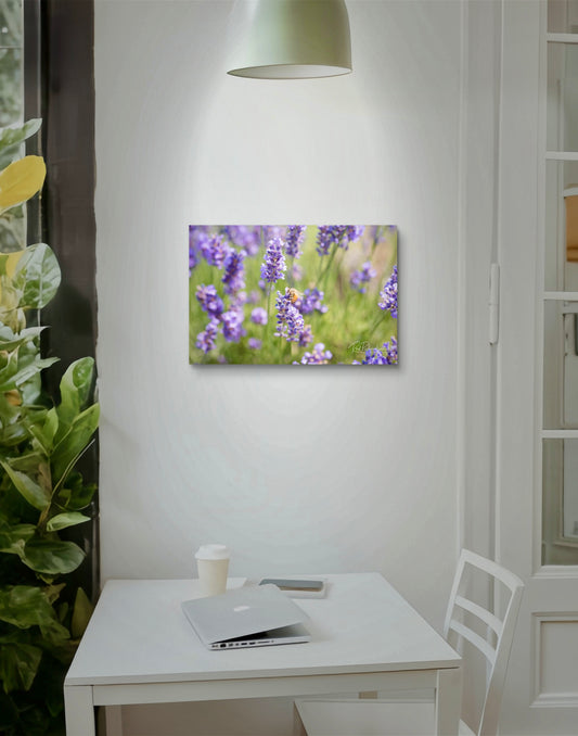 Lavender Drift — Signature 36×24 Edition