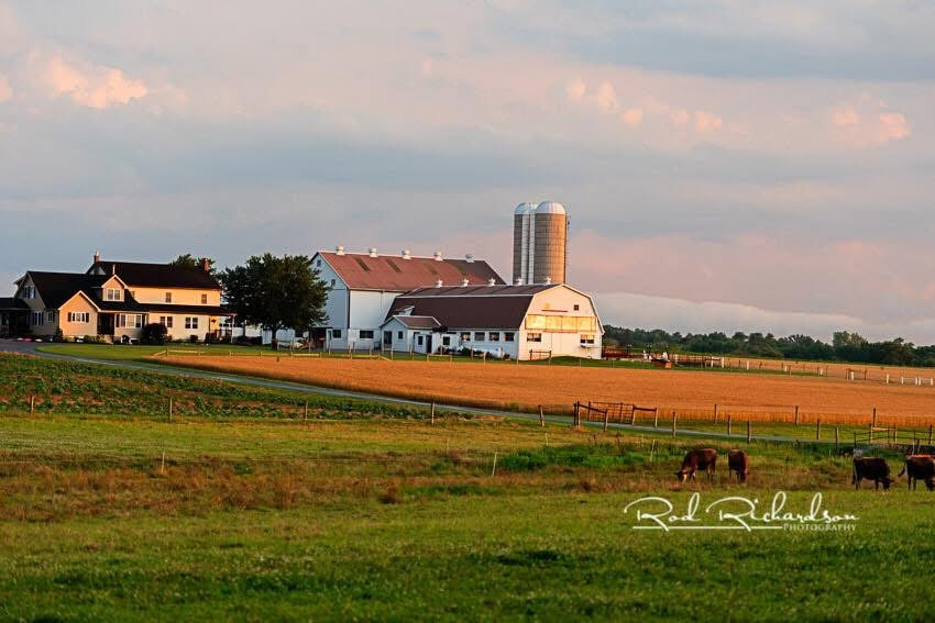 Golden Hour on the Farm — Fine Art Print