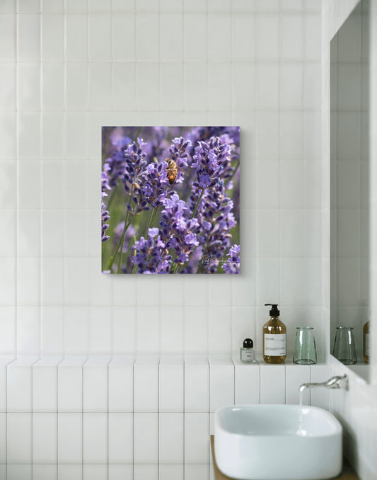 Lavender & Honey, In Flight Fine Art Photograph