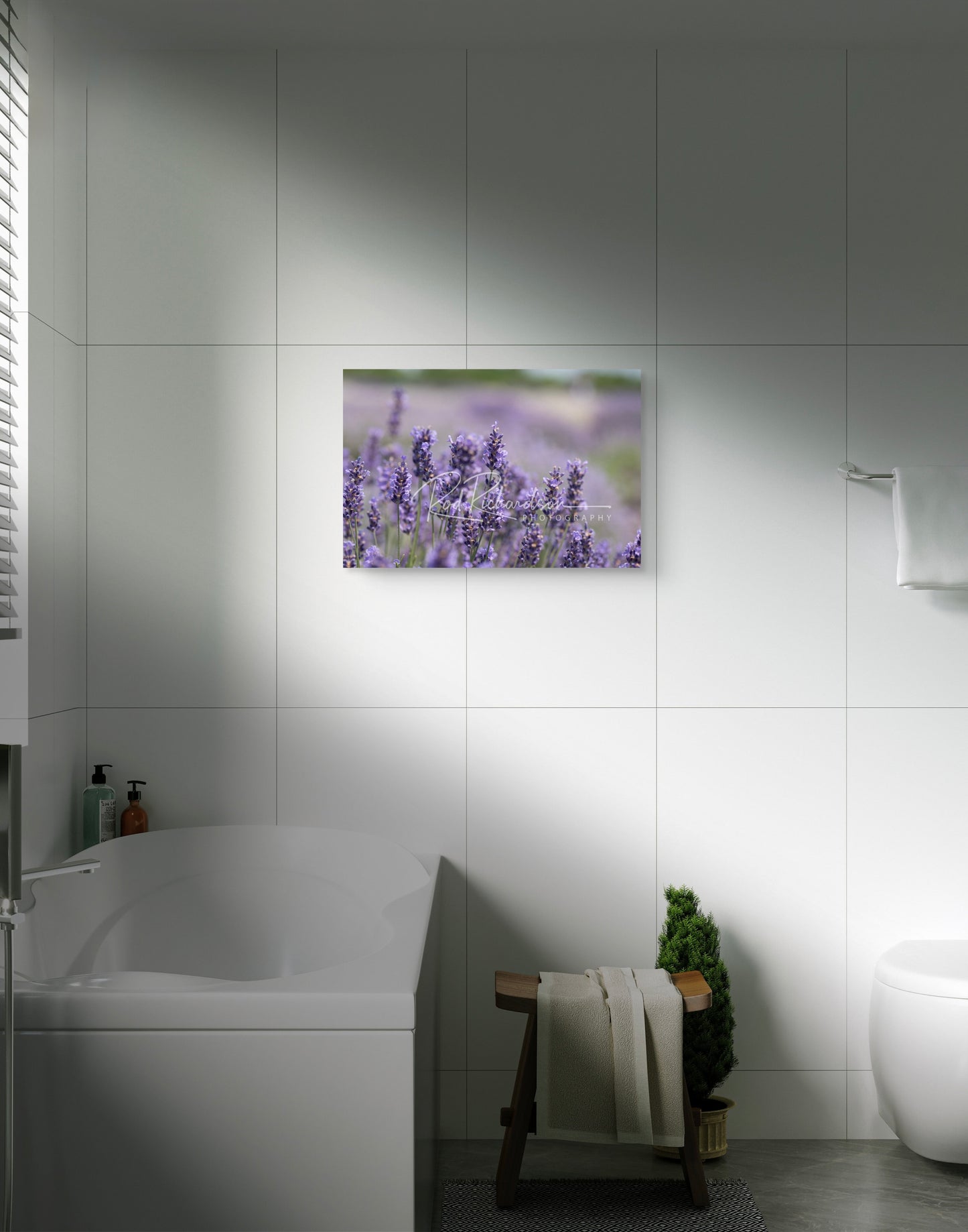 Lavender Awakening Fine Art Photograph