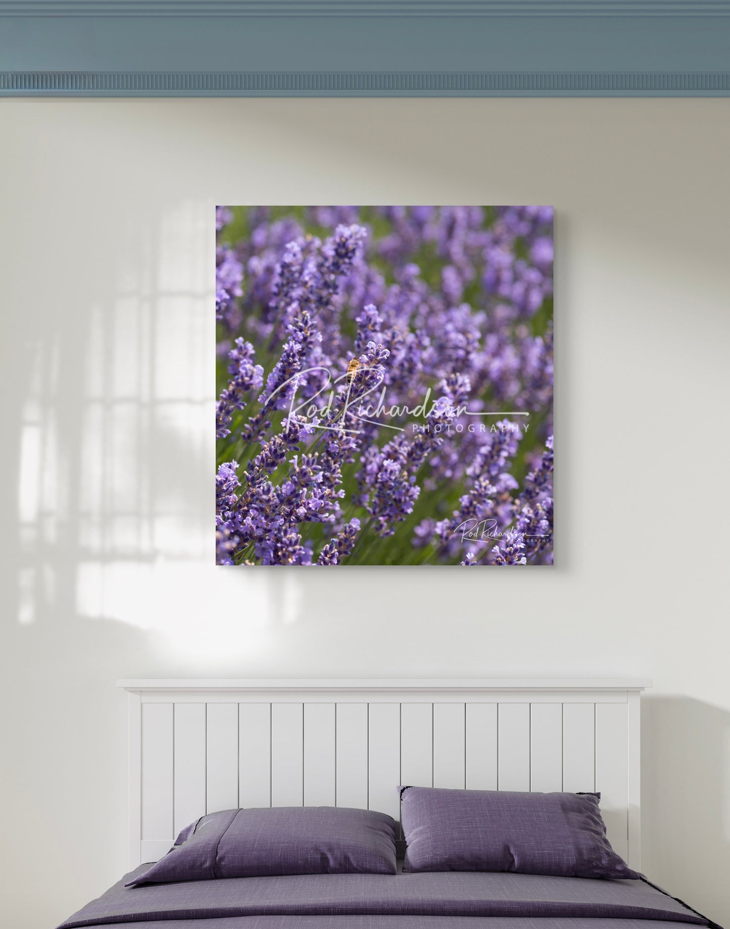 Lavender & Honey Fine Art Photo