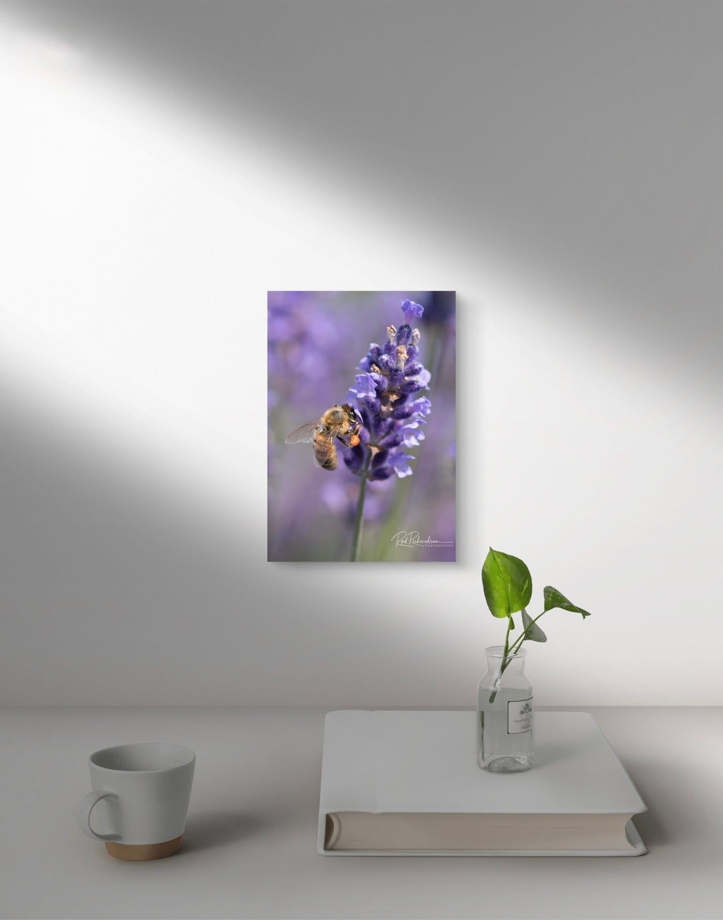 Honeybee Hard at Work 1