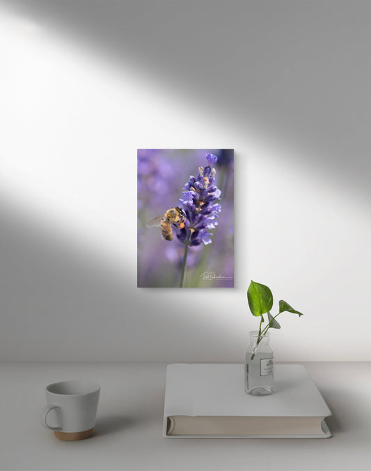 Honeybee Hard at Work 1