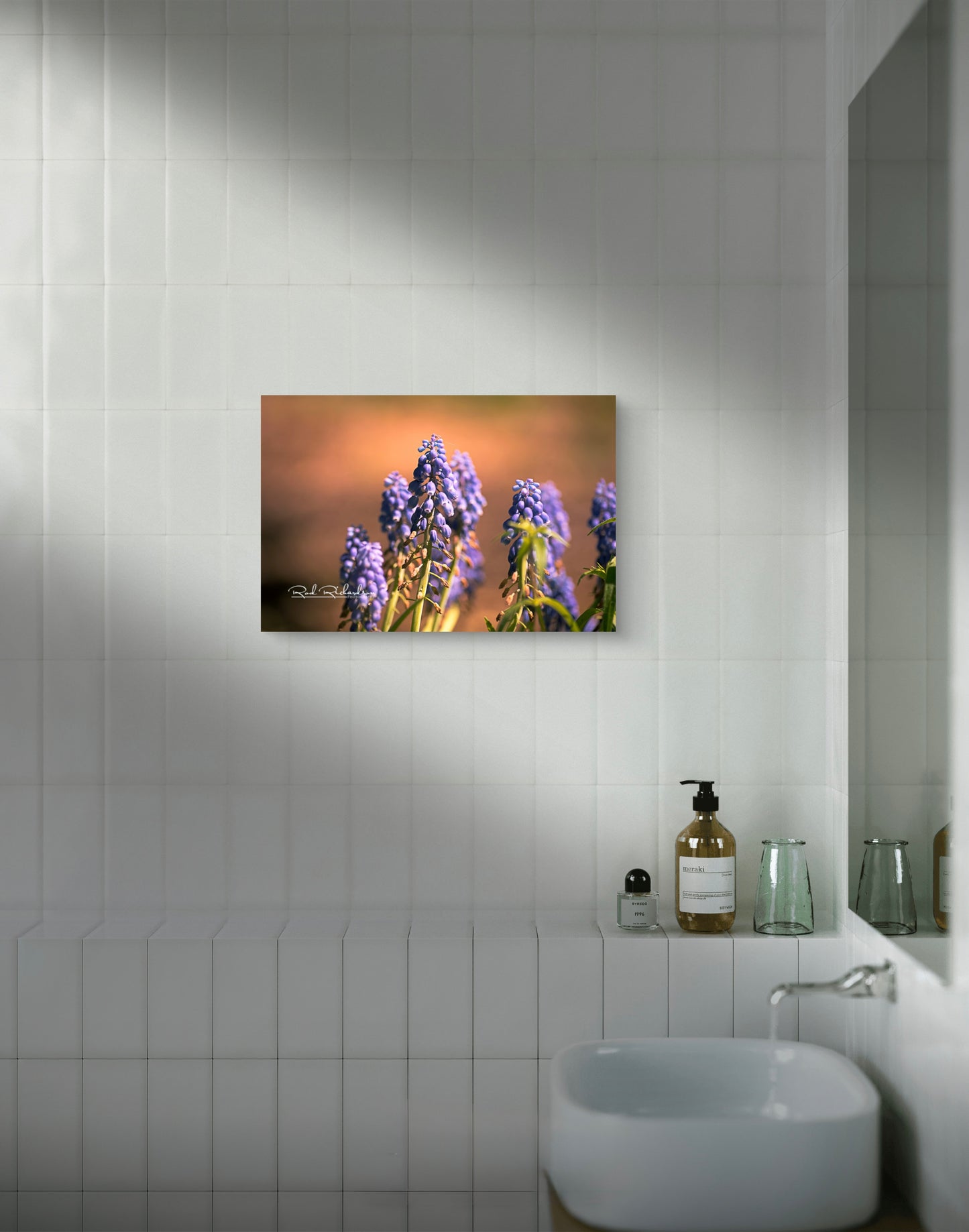 Along the Soft Edge of Spring — Fine Art Photographic Print