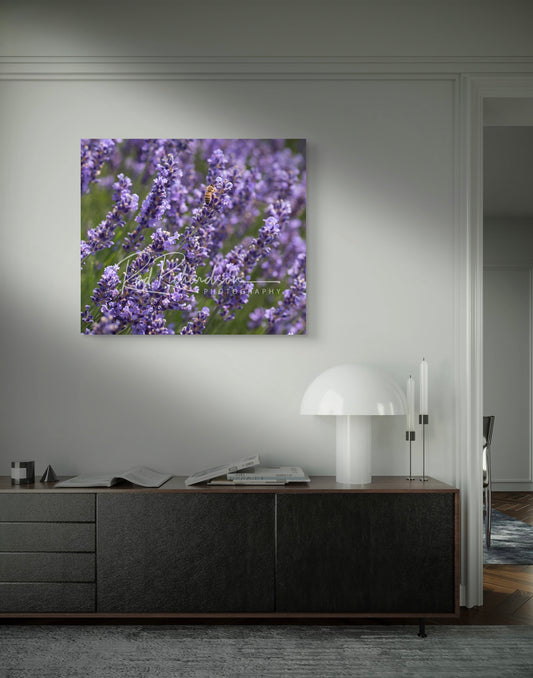 Lavender & Honey, Afternoon Harvest Fine Art Photograph