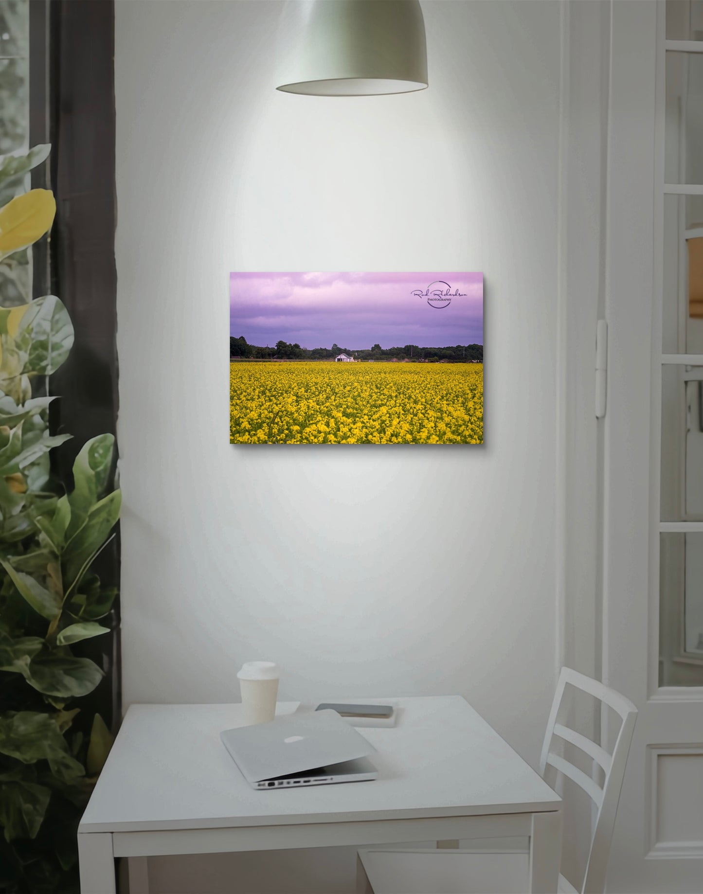 Purple Skies Over Mustard Field – Riverhead, NY