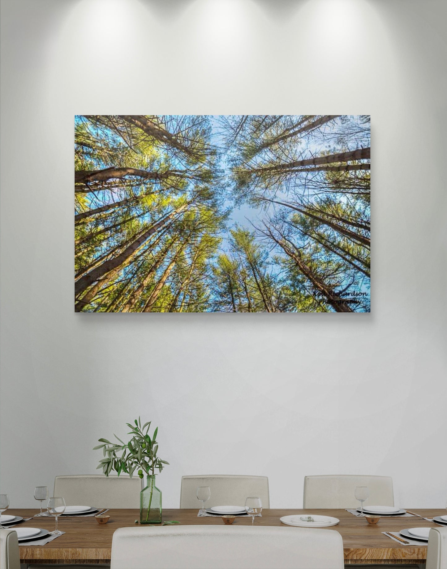 Cathedral of Pines Fine Art Print