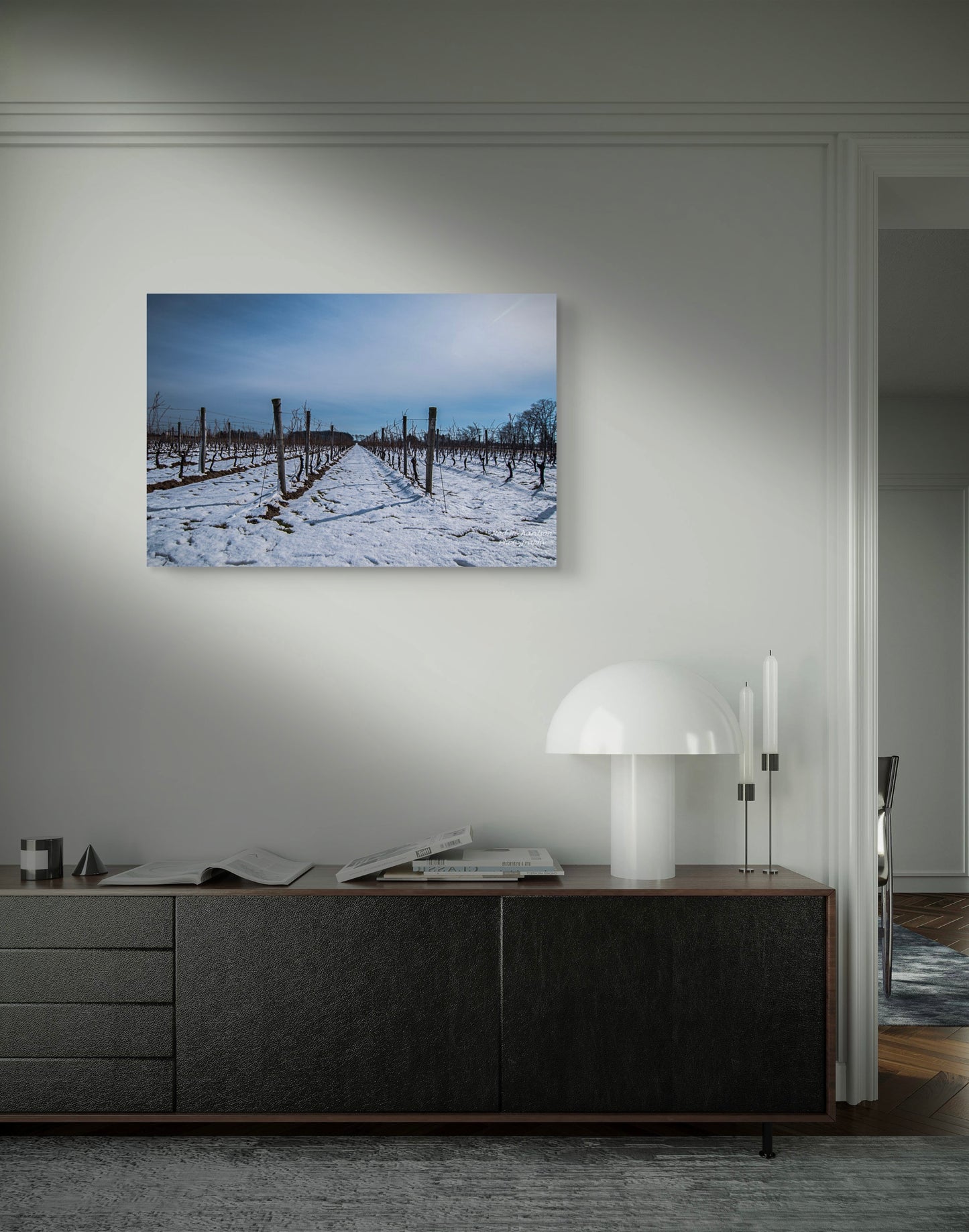 Snow Between the Vines Vineyard in Winter