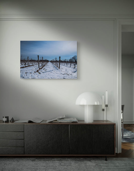 Snow Between the Vines Vineyard in Winter