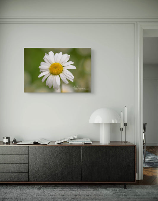 Stillness - Fine Art Photographic Print