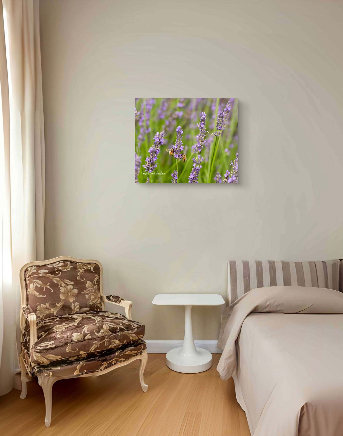 Lavender & Honey, In Harmony Fine Art Photograph