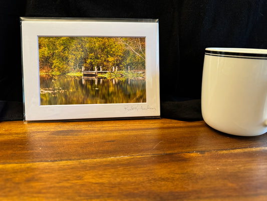 Autumn Serenity In Calverton Riverhead Fine Art Mini Print