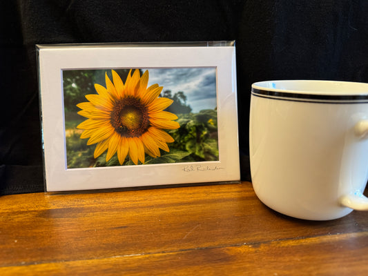 Bee On Sunflower Fine Art Mini Print