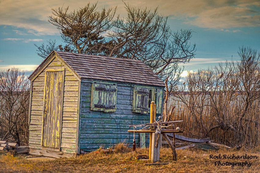 Still Standing - Bayside Fine Art Print