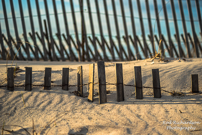 Dune Fence — Westhampton Beach