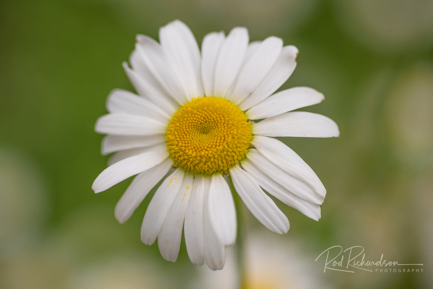 Stillness - Fine Art Photographic Print